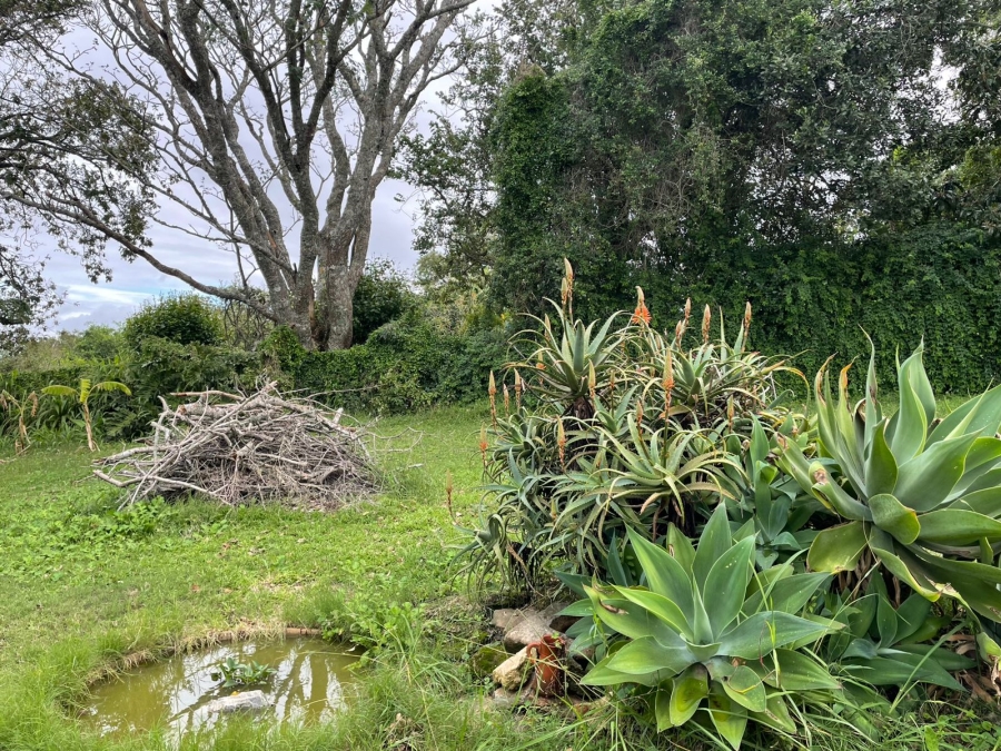 3 Bedroom Property for Sale in Bathurst Eastern Cape